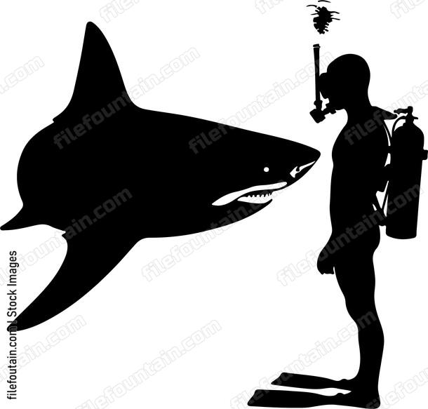 Shark interacting curiously with a diver