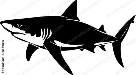 Shark Swimming Silhouette