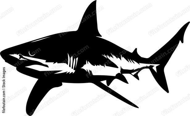 Shark Swimming Silhouette