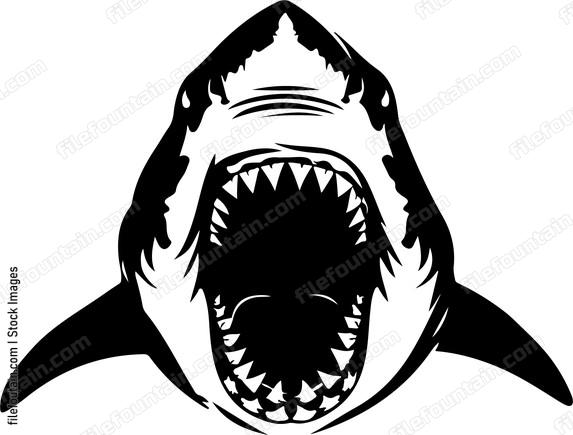 Shark Teeth