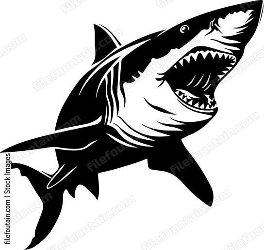 Shark With Open Mouth