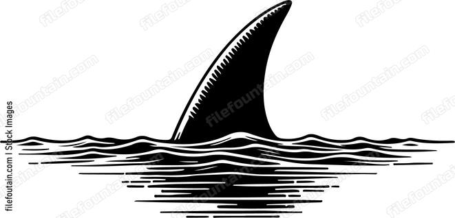 Sharks dorsal fin cutting through calm waters