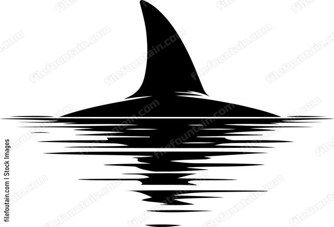 Sharks dorsal fin cutting through calm waters
