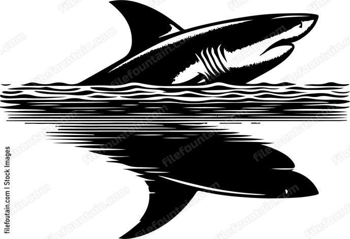 Sharks profile captured in a reflection on the waters surface