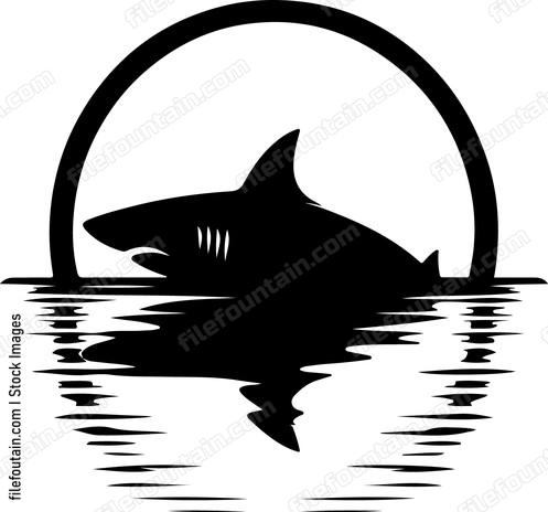 Sharks profile captured in a reflection on the waters surface