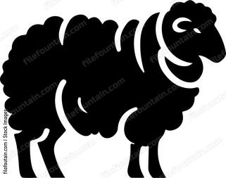 Sheep