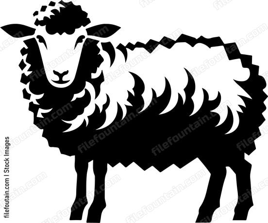 Sheep