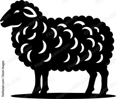 Sheep