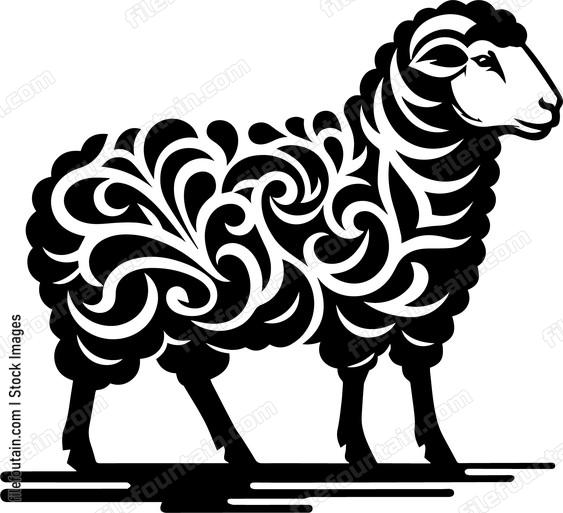 Sheep