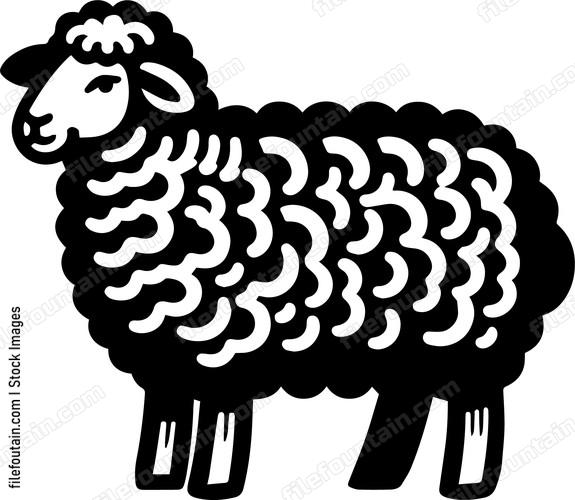 Sheep
