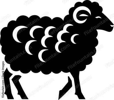 Sheep