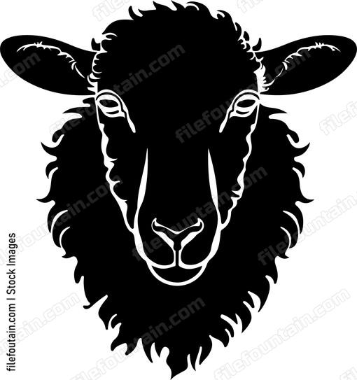 sheep depiction