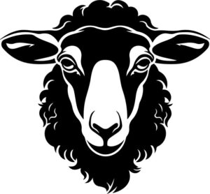 Sheep Design