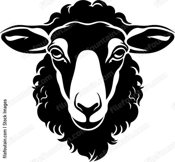 Sheep Design