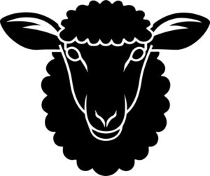 Sheep Design