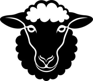 Sheep Design