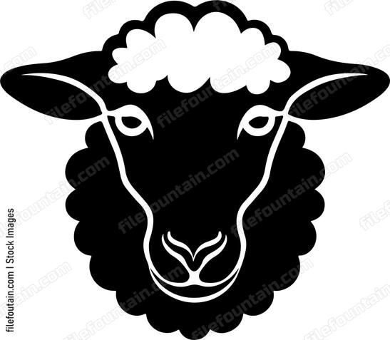 Sheep Design