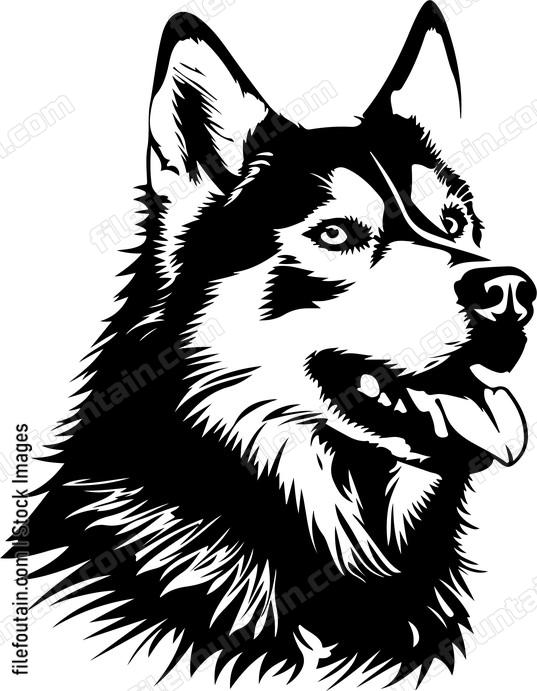Siberian Husky Dog Tongue Out