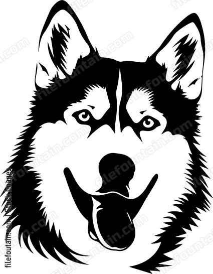 Siberian Husky Dog Tongue Out