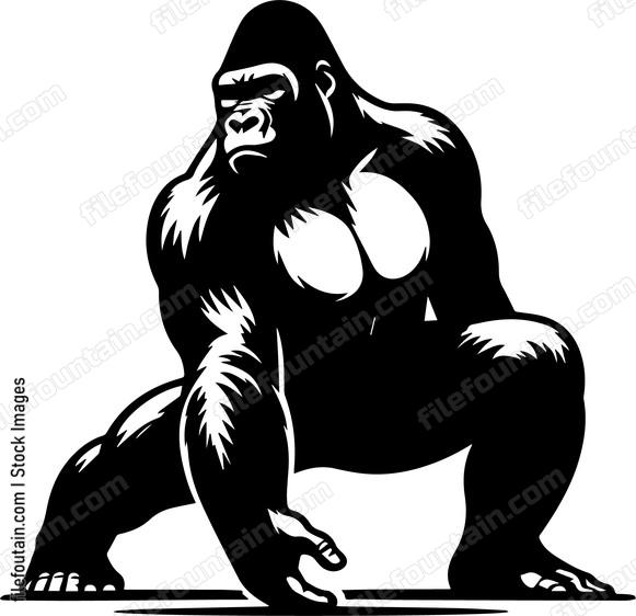 silverback gorilla