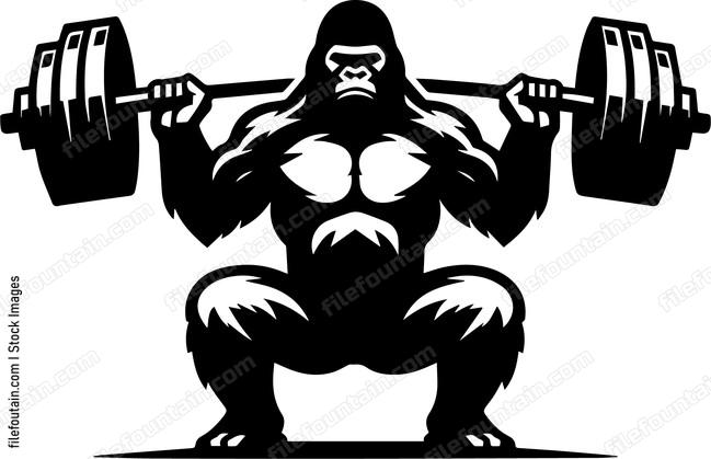 silverback gorilla lifting weights