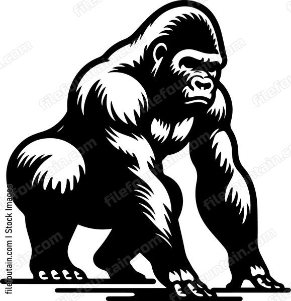 silverback gorilla on all fours