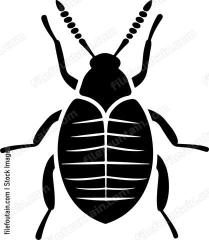 Simple beetle