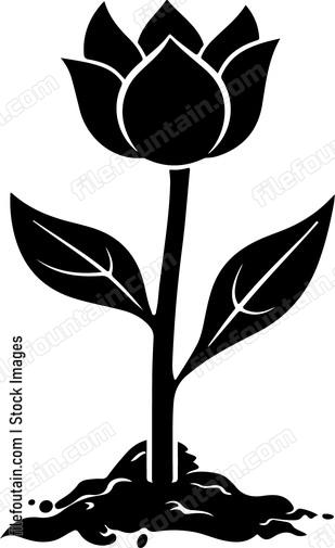 Simple tulip flower