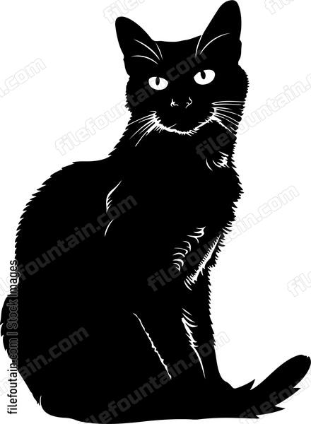 Sitting Black Cat