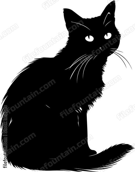 Sitting Black Cat