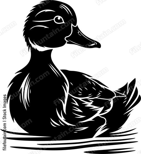 Sitting Duck