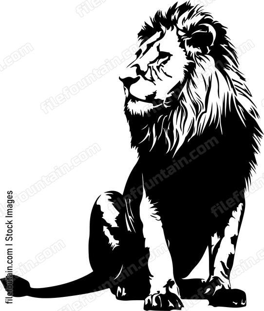 Sitting Lion
