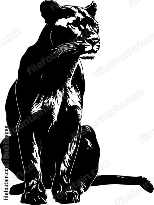 Sitting Mountain Lion
