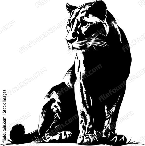Sitting Mountain Lion