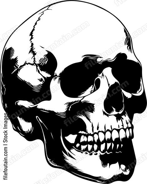 Skull Design Basic