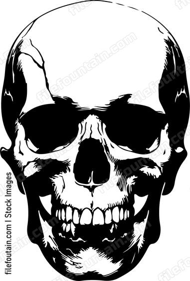 Skull Design Basic