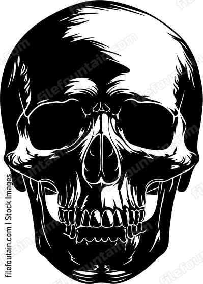 Skull Design Basic