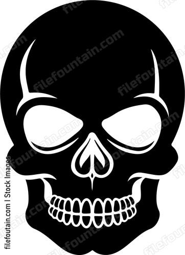 Skull head bone