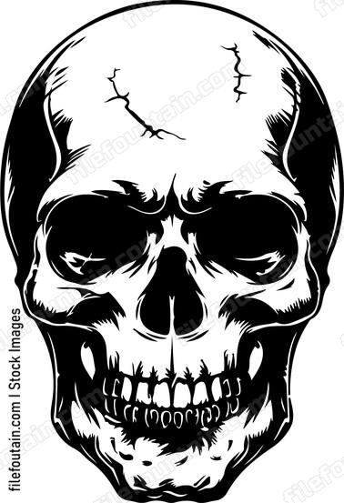 Skull head
