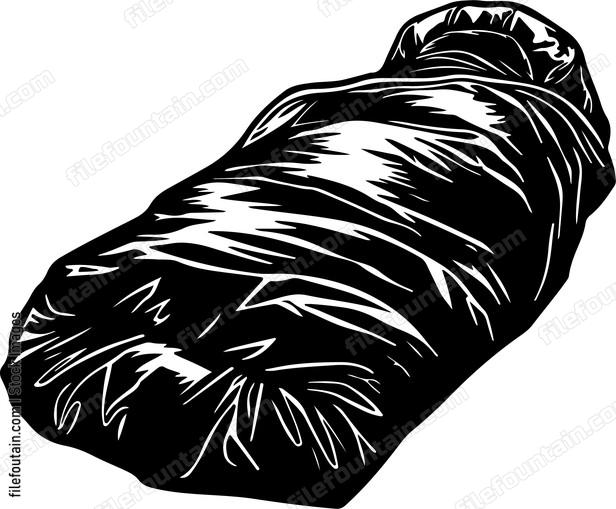 Sleeping Bag