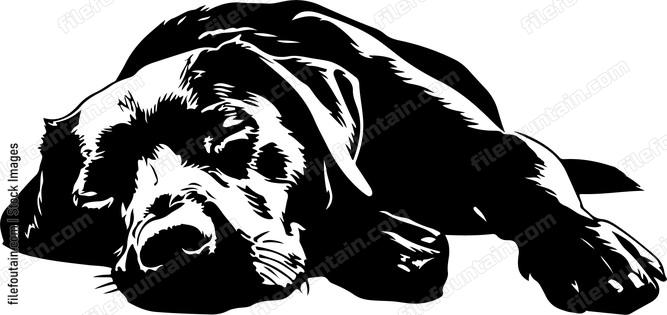 Sleeping Dog