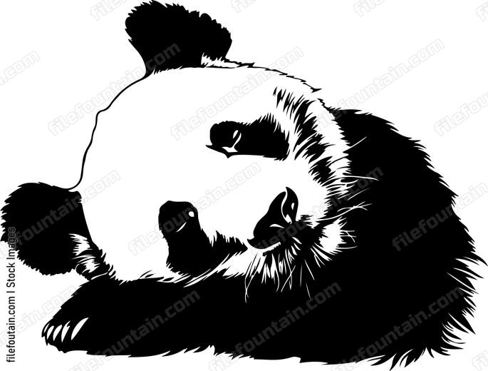 Sleeping Giant Panda