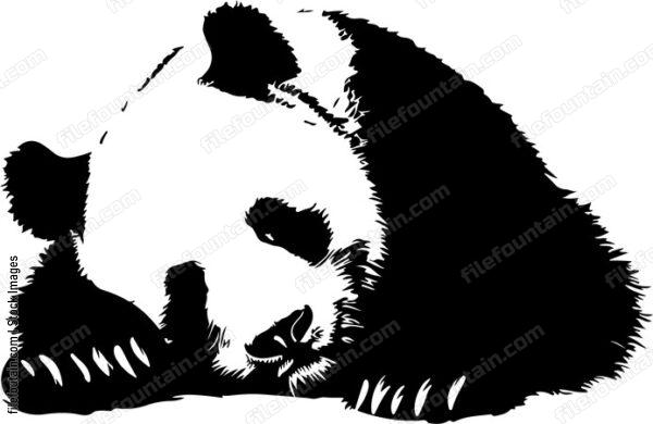 Sleeping Giant Panda