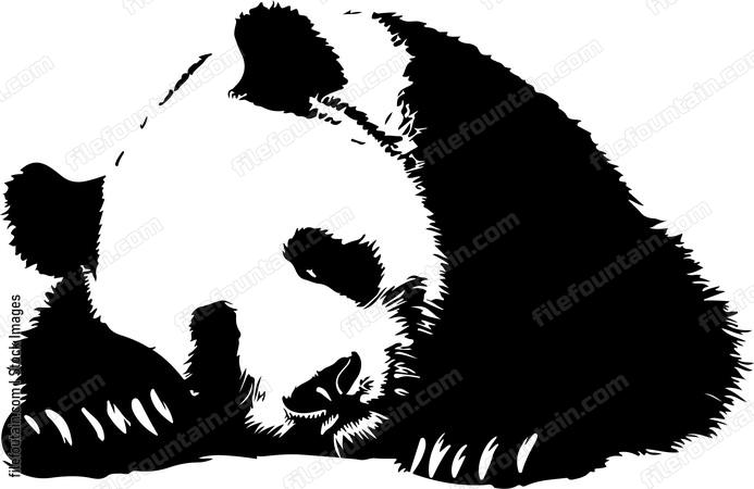 Sleeping Giant Panda