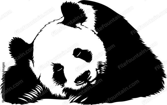 Sleeping Giant Panda