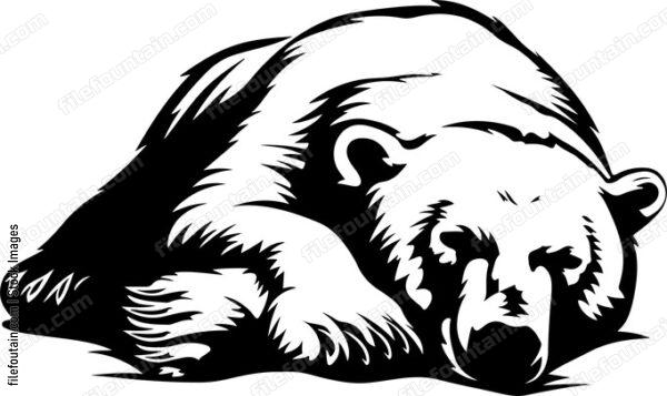 Sleeping Polar Bear