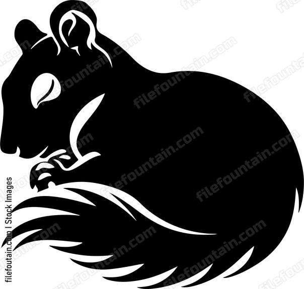 Sleeping Squirel