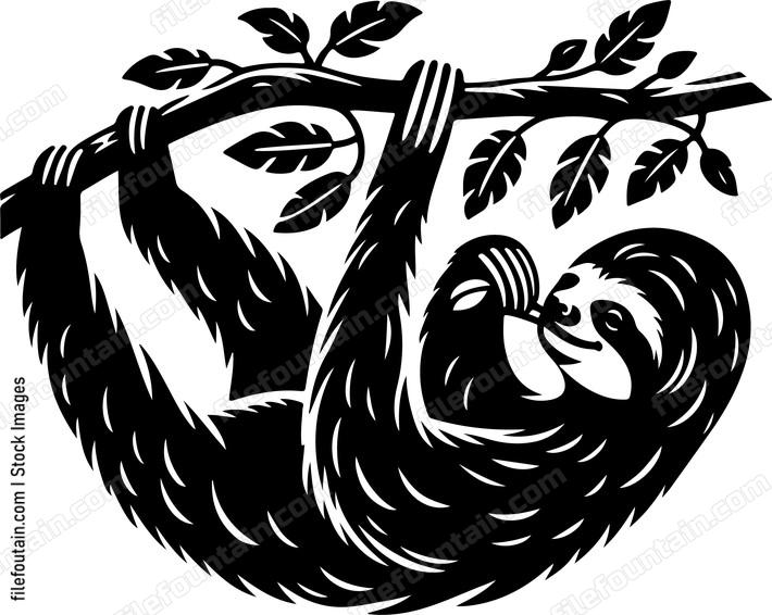 Sloth leisurely hanging from a tree branch munching on leaves
