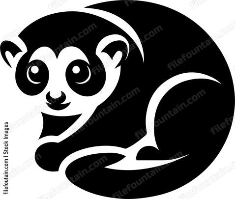Slow Loris