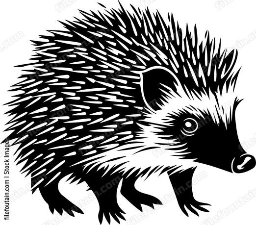 Small animal with spiky fur